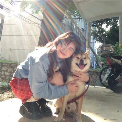 爆笑虫子在中国